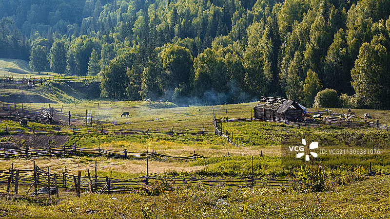贾登峪.森林牧场图片素材
