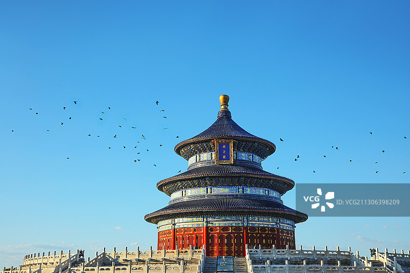 天坛祈年殿与一群飞鸟图片素材