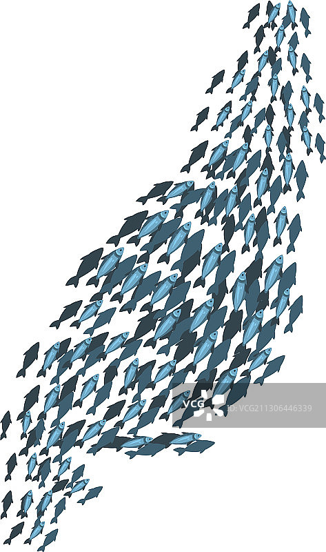 学校鱼群海洋生物图片素材