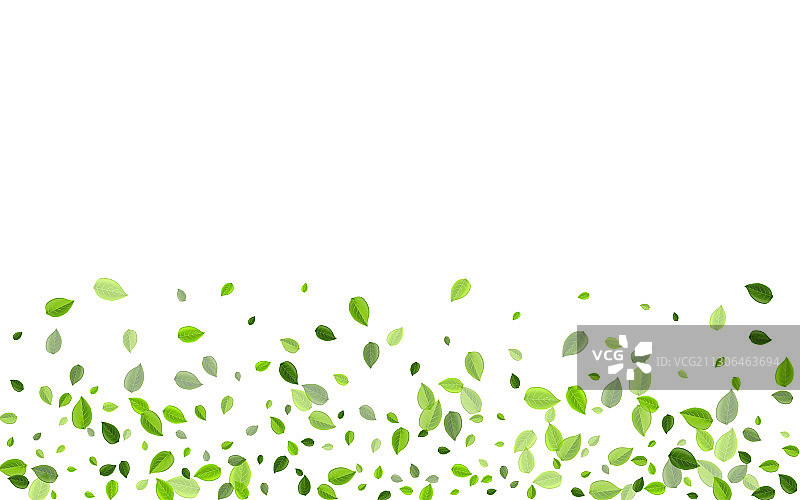 森林树叶春季抽象概念图片素材