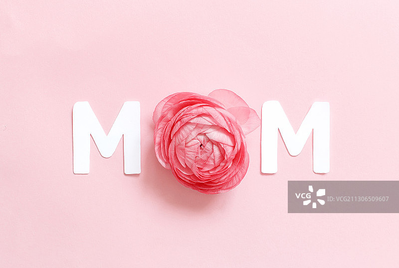 浅粉色背景上的花朵和文字“MOM”图片素材
