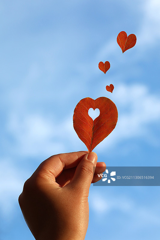 创意爱心叶片在蓝天下图片素材