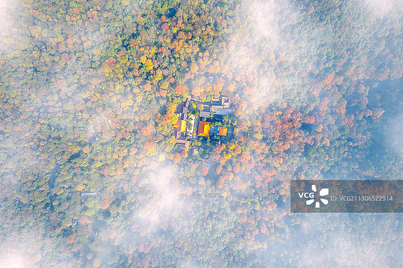 秋色中的麓山古寺图片素材