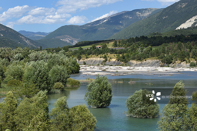 卡斯蒂永湖普罗旺斯水下柳树图片素材