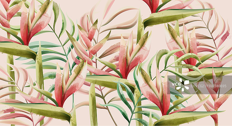 天堂鸟花卉与热带叶子图片素材