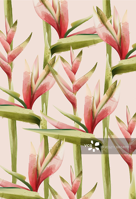 绿色红色天堂鸟花纹图片素材