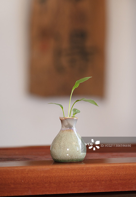 茶与禅图片素材