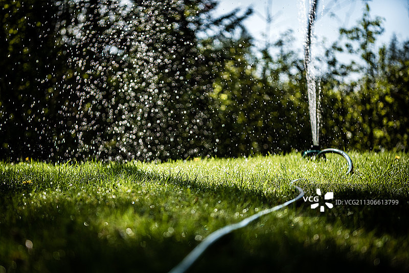 草坪洒水器洒水特写图片素材