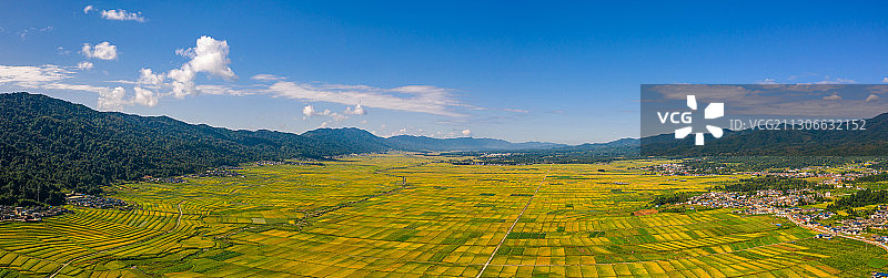 金色田野图片素材