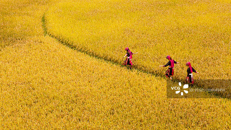 金色的世界图片素材