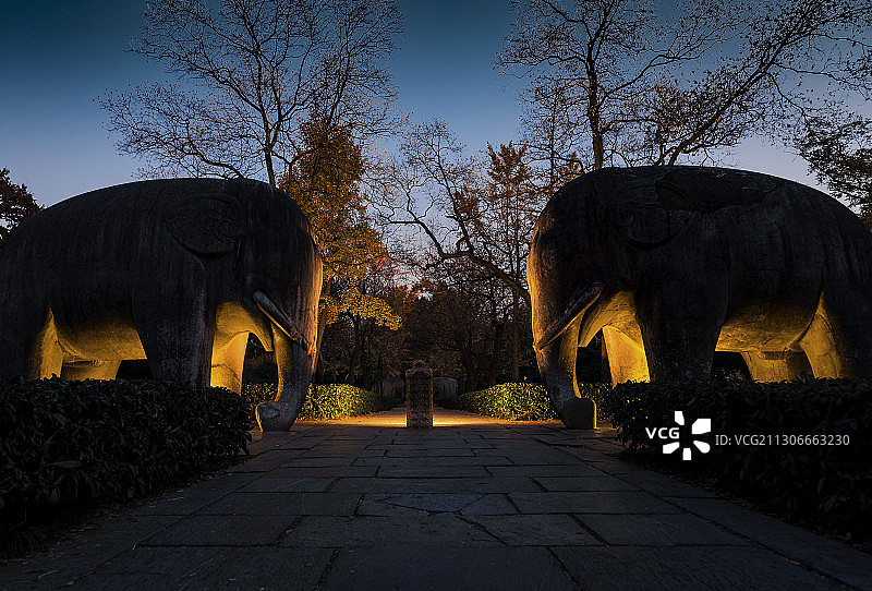 石象路夜景图片素材