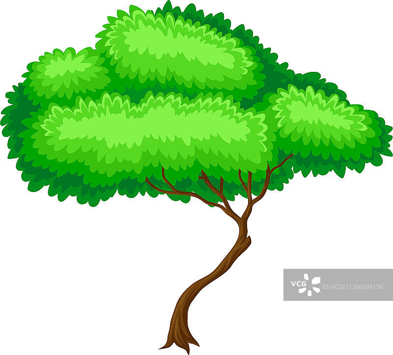 带有棕色树干和绿叶树冠的树图片素材