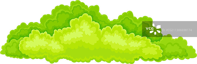 绿色灌木丛图片素材