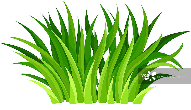 森林元素的绿草叶图片素材