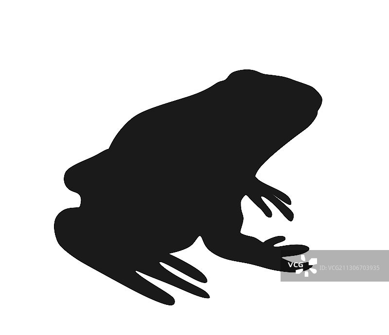 青蛙剪影图片素材