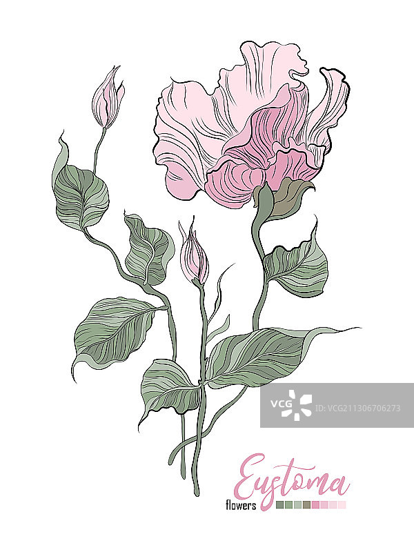 婚礼请柬设计元素套装图片素材