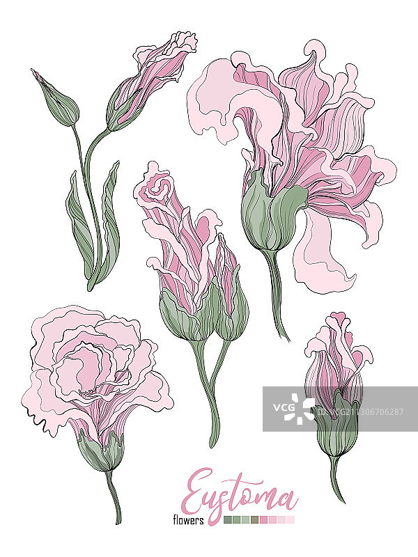 婚礼请柬设计元素套装图片素材