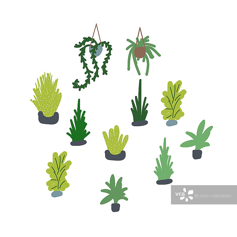 多肉盆栽组合图片素材