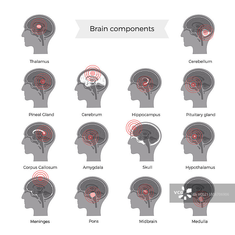 大脑疼痛图片素材