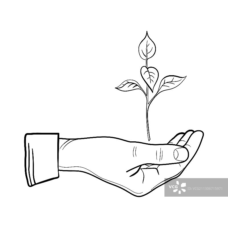 手持嫩芽线条艺术图片素材