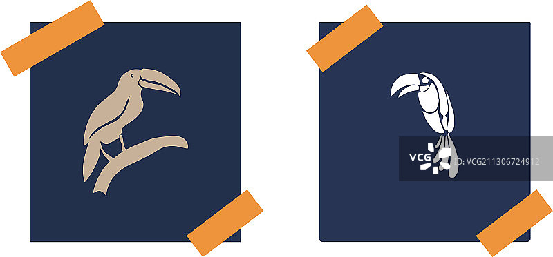 背景上的犀鸟孤立图标图片素材