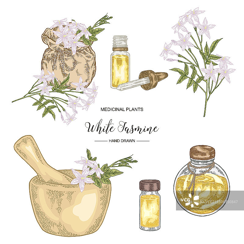 白色茉莉花素材精选图片素材