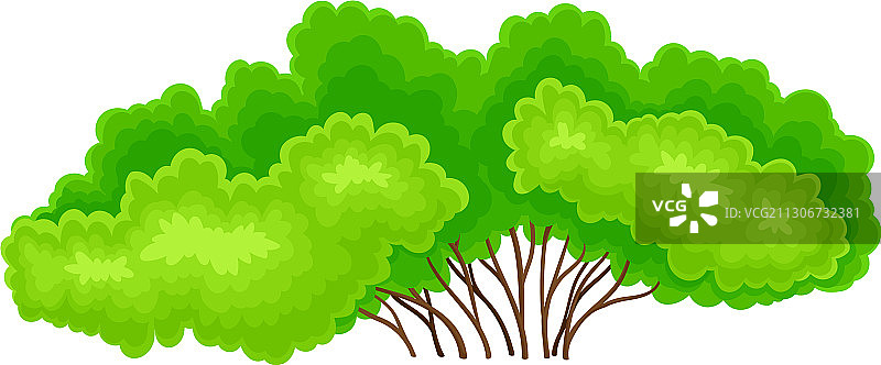 绿色灌木丛图片素材