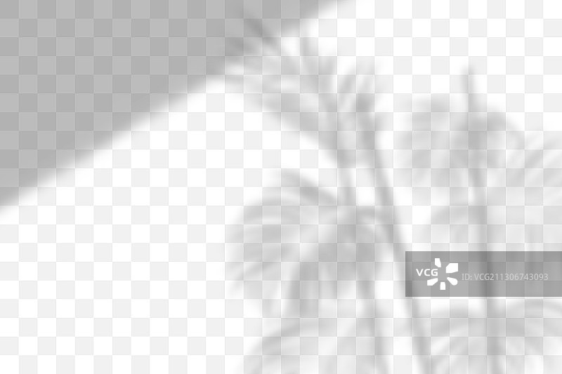 透明植物阴影光效图片素材