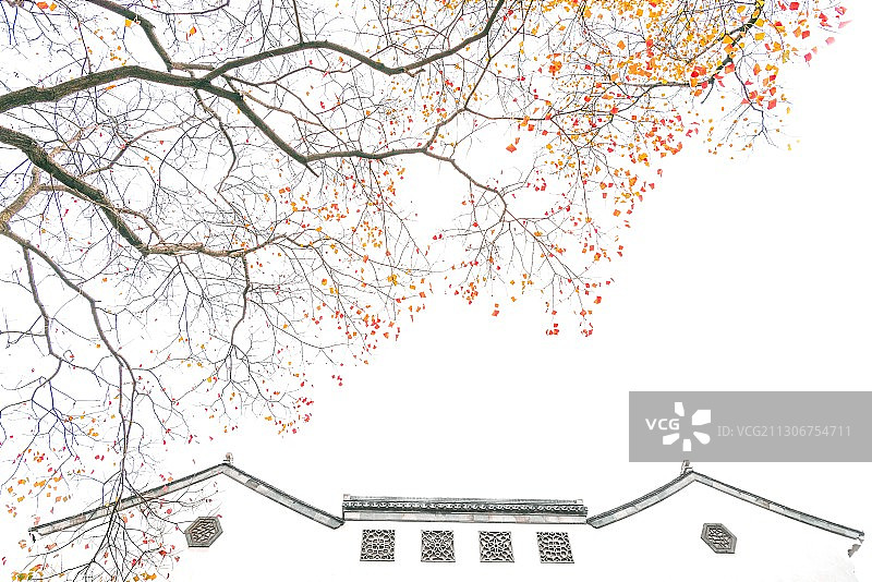 南京老门东的秋天图片素材