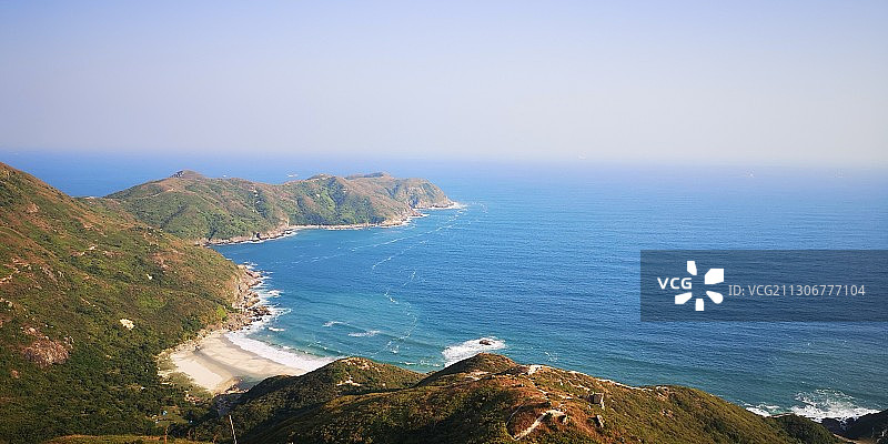 蚺蛇尖图片素材