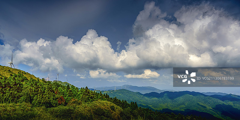 绿色能源图片素材
