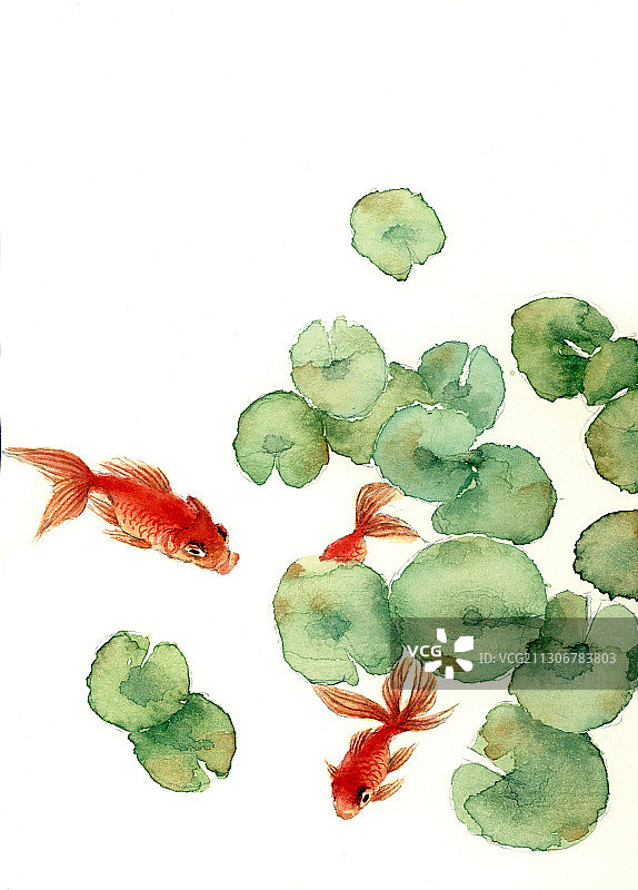 鱼趣 荷花池图片素材