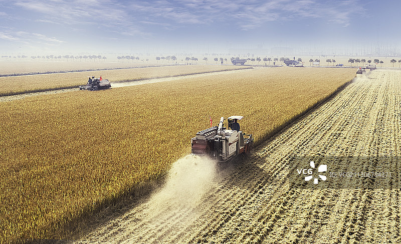 希望的田野图片素材