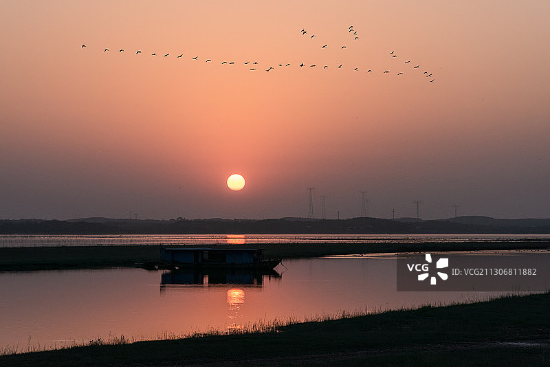 安徽池州升金湖观鸟白鹤迁徙日落风光图片素材