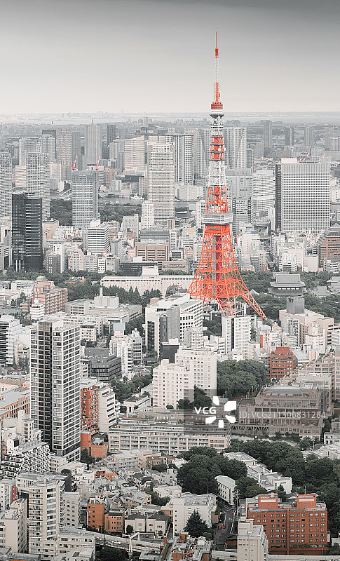 日本太平洋海岛东京首都东京塔晴空塔城市风光图片素材