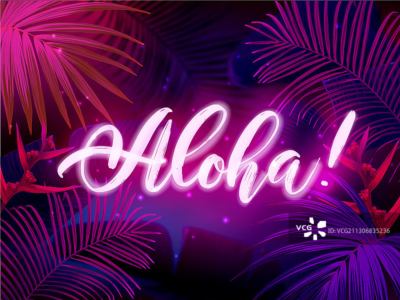 深蓝色和紫色热带派对设计图片素材