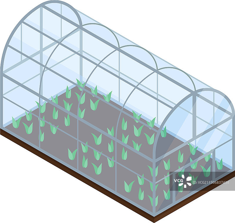 农作物或蔬菜生长图片素材