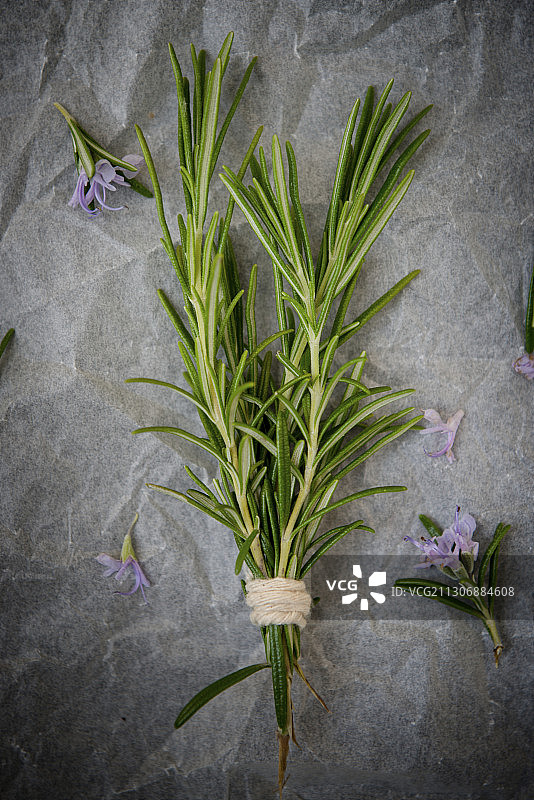 一把迷迭香图片素材