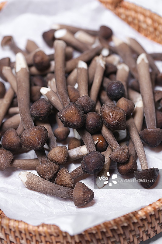 放在白色大理石背景上的鸡枞菌蘑菇图片素材