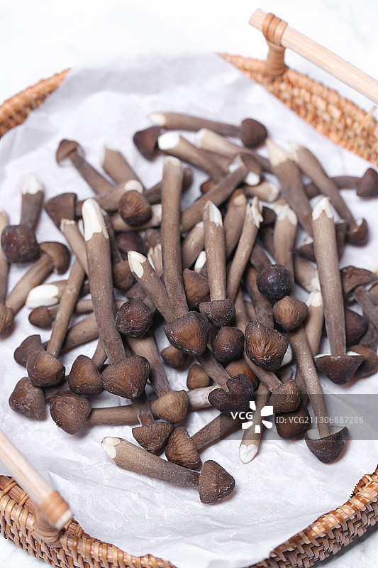 放在白色大理石背景上的鸡枞菌蘑菇图片素材