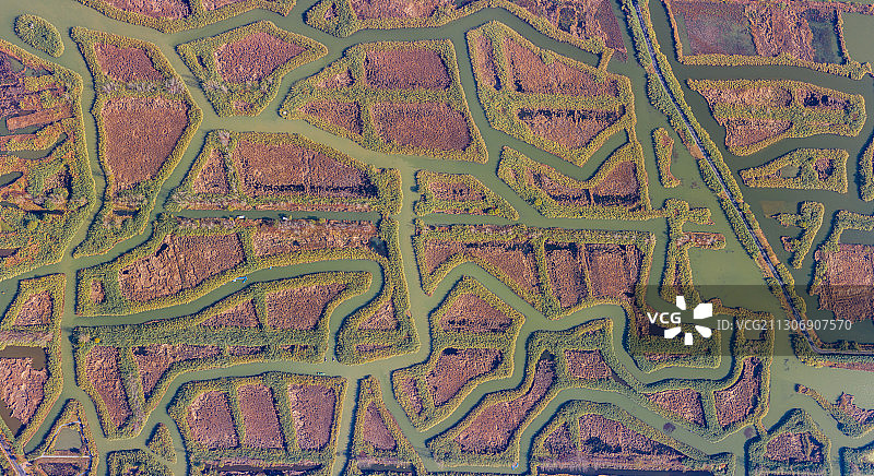 江苏省宿迁市泗洪县洪泽湖湿地图片素材
