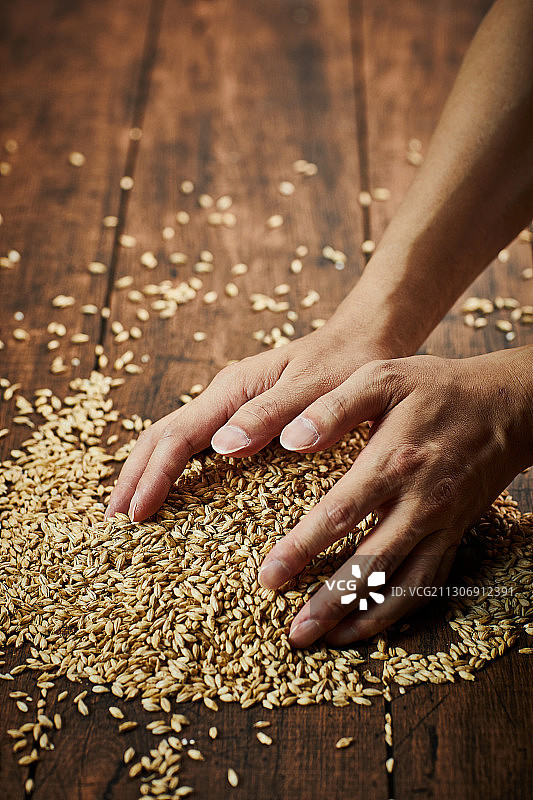 健康食品：干燥的大麦、谷物、玉米和人手图片素材