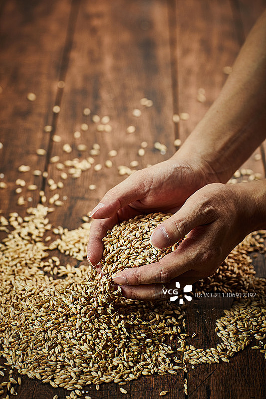 健康食品：干燥的大麦、谷物、玉米和人手图片素材