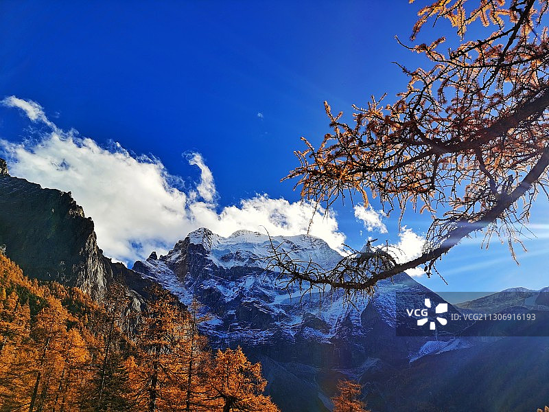 仙乃日图片素材