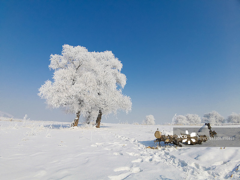 生命如歌图片素材