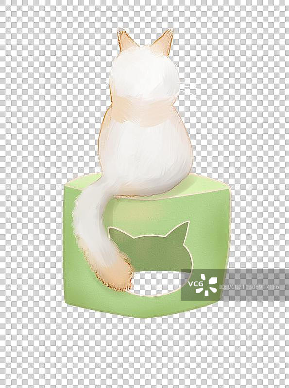 猫咪和纸箱图片素材