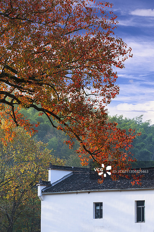 塔川秋色图片素材
