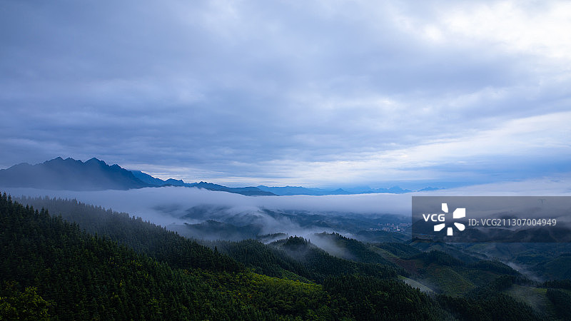 清晨的紫荆山，大雾弥漫，云海渺茫。图片素材