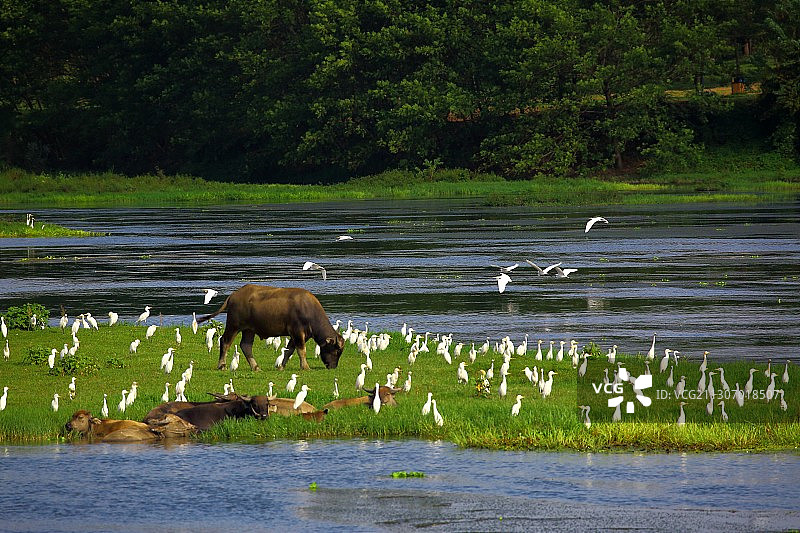 和谐家园图片素材