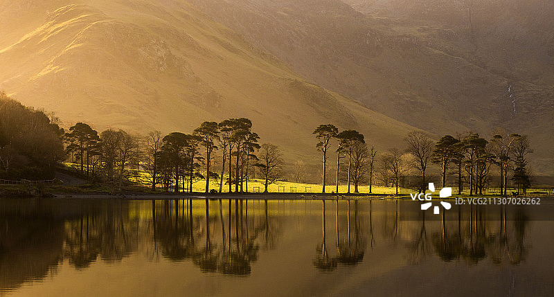 英国科克茅斯巴特米尔湖畔树木风光图片素材
